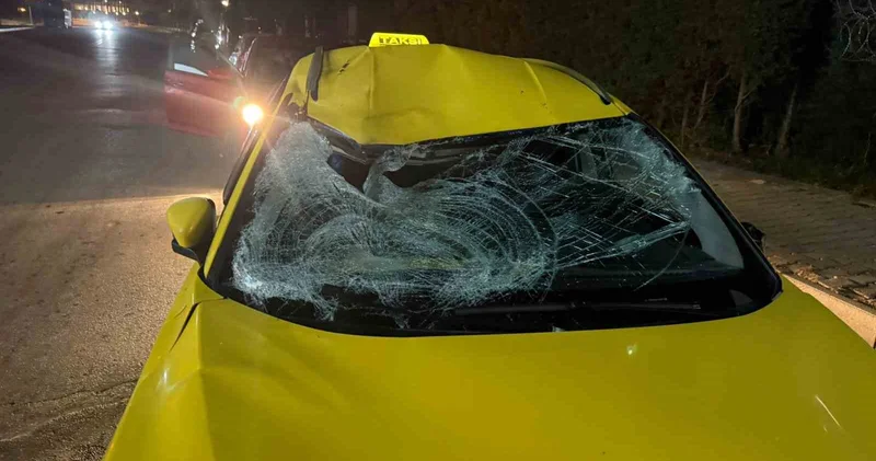 Жантүршігерлік жол көлік оқиғасынан Қазақстан азаматы Түркияда мерт болды
