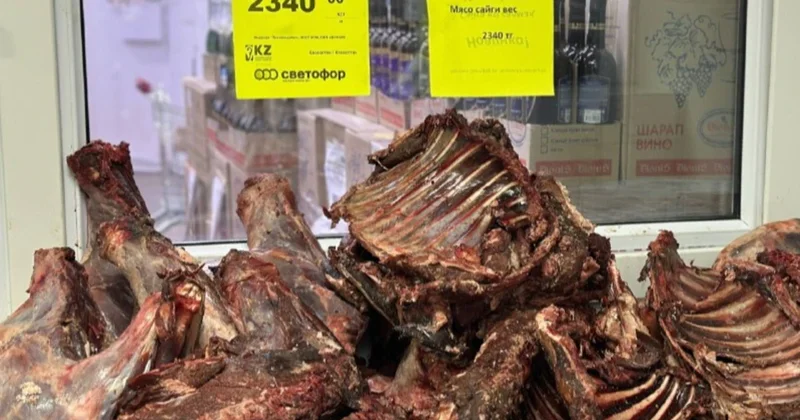 Минсельхоз: Большого спроса на мясо сайгаков нет