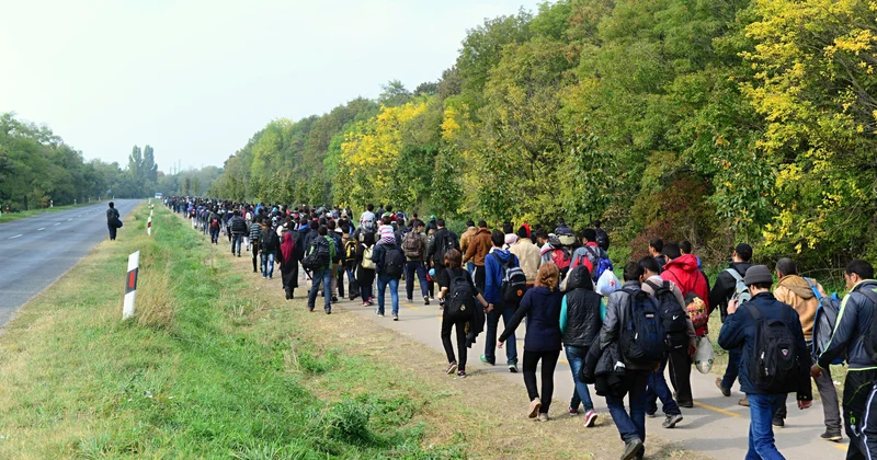 Жер бетінің әрбір 70 ші тұрғыны мәжбүрлі қоныс аударушы БҰҰ