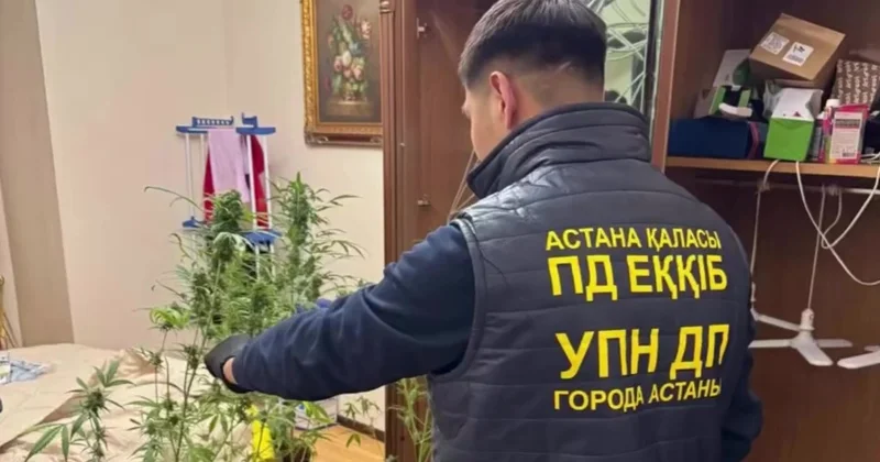 Астанада тарологтың жатын бөлмесіндегі тінту қылмыстық іспен аяқталды