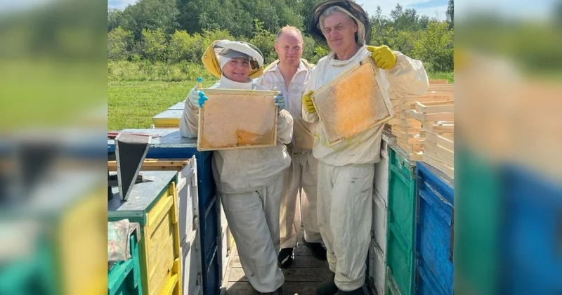 На вахте пчелы агрономы