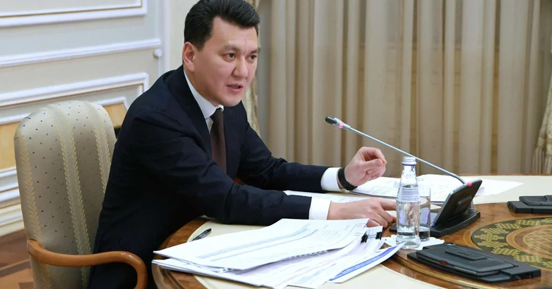 Қарин Құрылтай депутаттығына кандидаттар туралы пікір білдірді