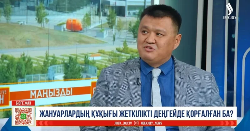 Жануарларды жәбірлейтіндер қоғамға да қауіп төндіреді мамандардың пікірі