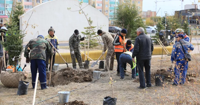 Таза Қазақстан акциясы аясында Ақтөбе өңірінде 7300 ге жуық көшет егілді
