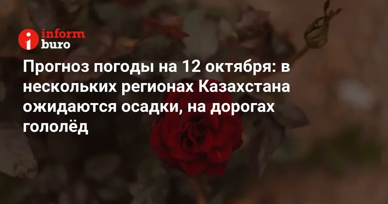 Прогноз погоды на 12 октября: в нескольких регионах Казахстана ожидаются осадки, на дорогах гололёд
