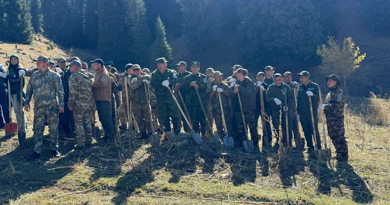 Проект Halyk орманы стартовал в Иле Алатауском нацпарке