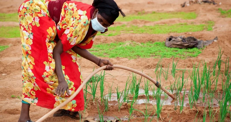 Жасанды интеллект 10 млн отбасын бір жыл қамтамасыз ететін көлемде су тұтынады