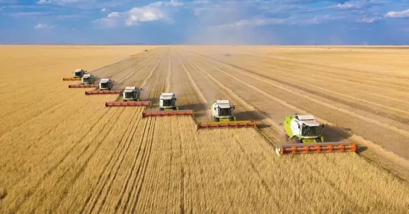 Аграрии Акмолинской области экспортировали за рубеж более 3 млн тонн зерна