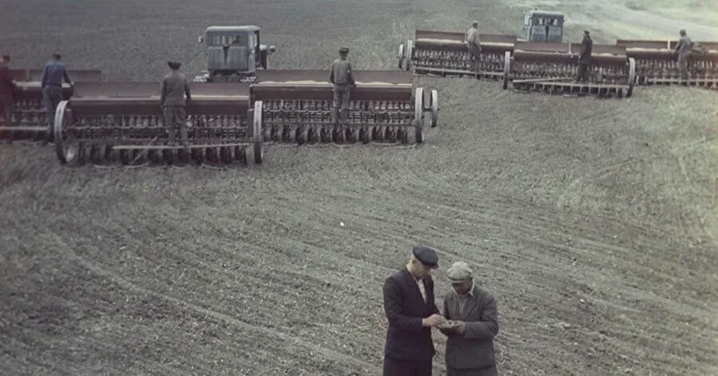 Подвиг советского народа или ошибка Хрущева? Истории тех, кто приехал поднимать целину в Казахстане