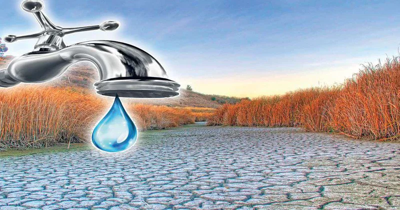 Возникли сложности с поливом