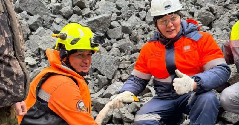 Спасатели помогли лебедю, застрявшему в котловане горнодобывающего предприятия в Кокшетау