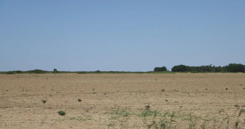 Земля вернулась домой