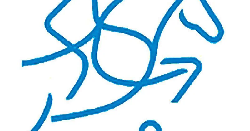 Под эгидой FEI