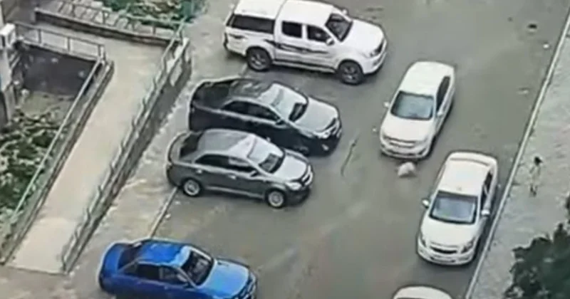 ​Атырауда жүргізуші баланы қағып, 110 мың теңге айыппұл төлейтін болды