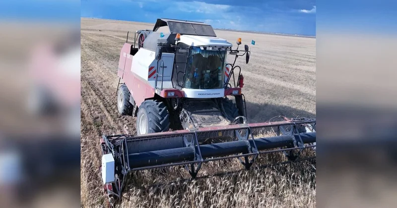 Сельское хозяйство Аршалынского района: уверенные темпы, новые проекты и поддержка государства