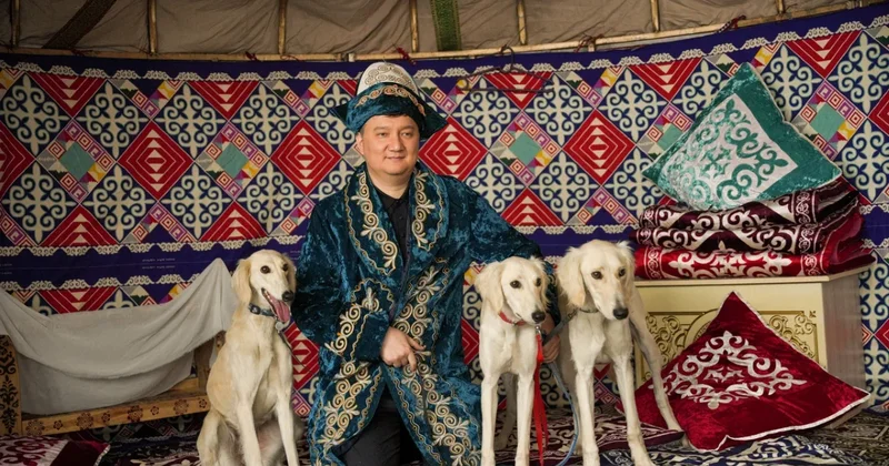 Племенной смотр собак породы казахский тазы состоялся в Алматы
