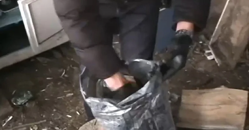 Неожиданностью обернулся выезд полиции домой к жителю ВКО