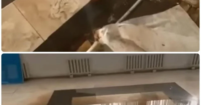 Атыраудағы бұрынғы көші қон полициясының ғимараты бүкіл үйді жылусыз қалдырды