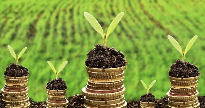 Ауыл аманаты несиелері өз мақсатына жетпеген Аудит қорытындысы