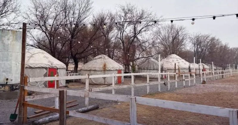 Юрты незаконно установили в зоне отдыха в Шымкенте: владелец заплатит крупный штраф