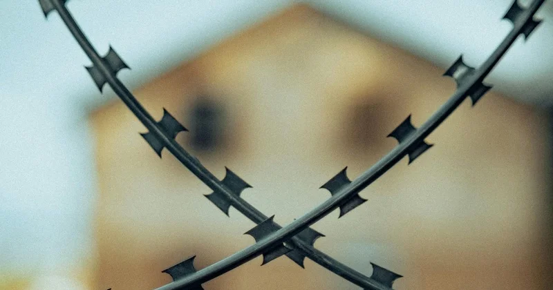 Хищение на 46 млн тенге: семь человек оказались за решеткой в области Абай