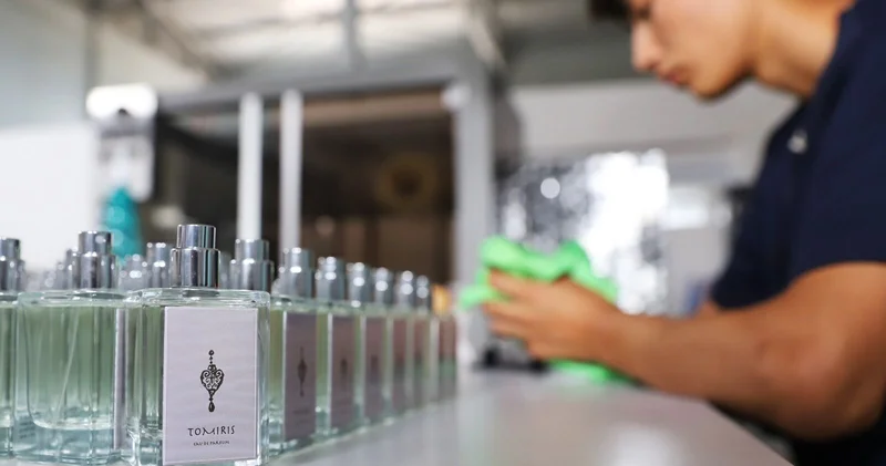 Массовый исход из тени