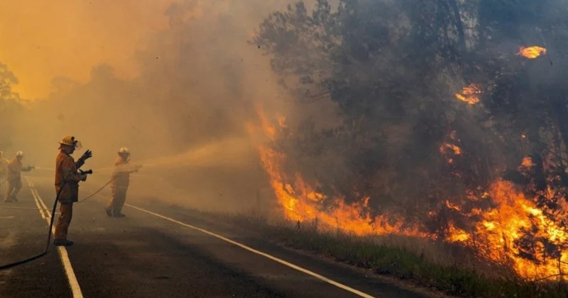 Аптап ыстықтың салдарынан Аустралияда 300 мың гектардан астам орман өртке оранды