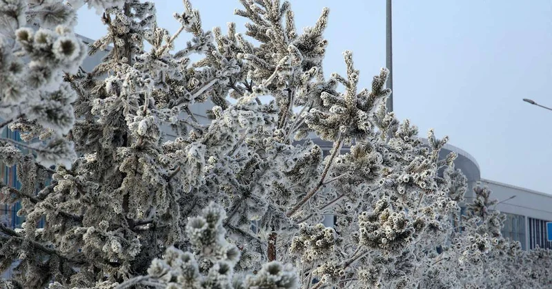 Морозы с Новой Земли идут в Казахстан