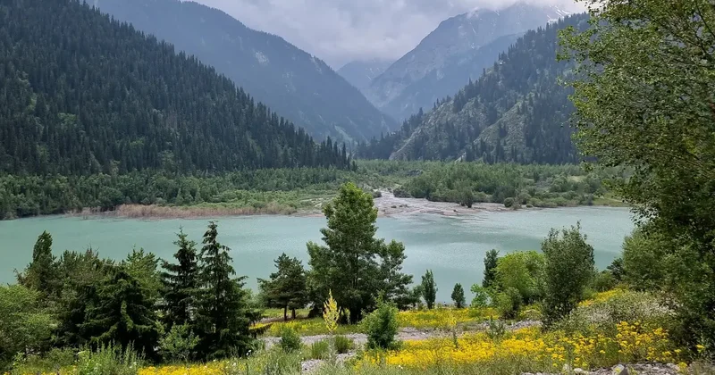 Предгорье Алатау, побережье Каспия, Бурабай: 800 тысяч га земель олигополий вернули государству