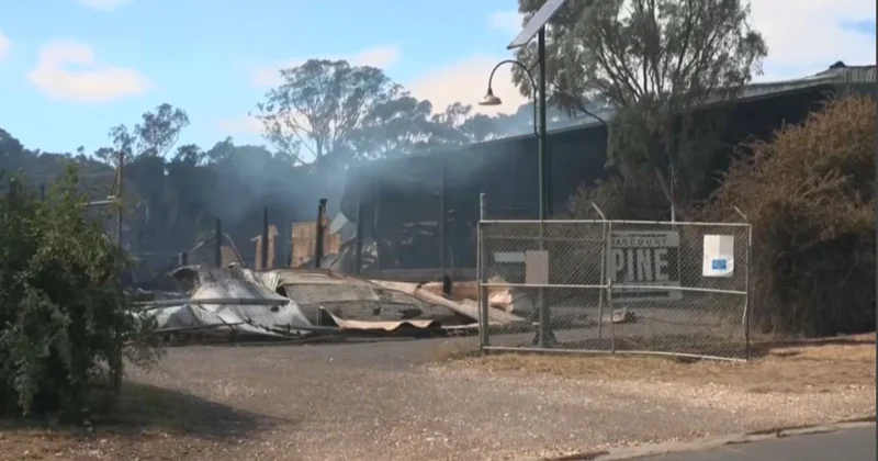 Аустралиядағы орман өрті: 350 ғимарат бүлінді