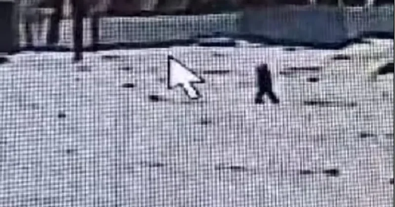 Просидел шесть часов под землёй: камеры помогли найти пропавшего ребёнка в Абайской области