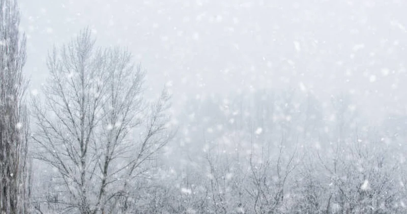 Мамандар азаматтарға қыс мезгіліндегі қауіпсіздік шаралары туралы ескертті