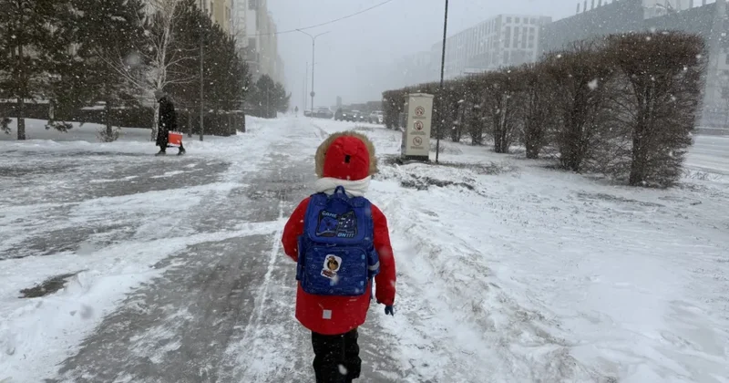 Школы в Астане перешли на дистанционку