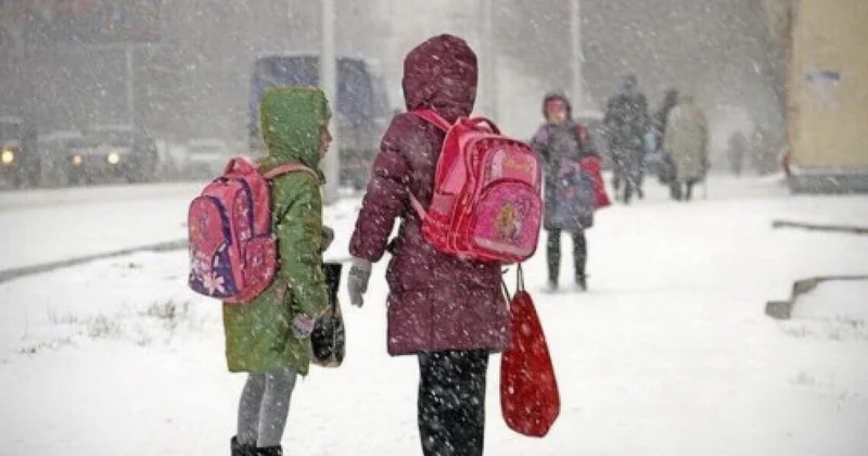 Астанада екінші ауысымдағы бастауыш сынып оқушылары онлайн оқиды