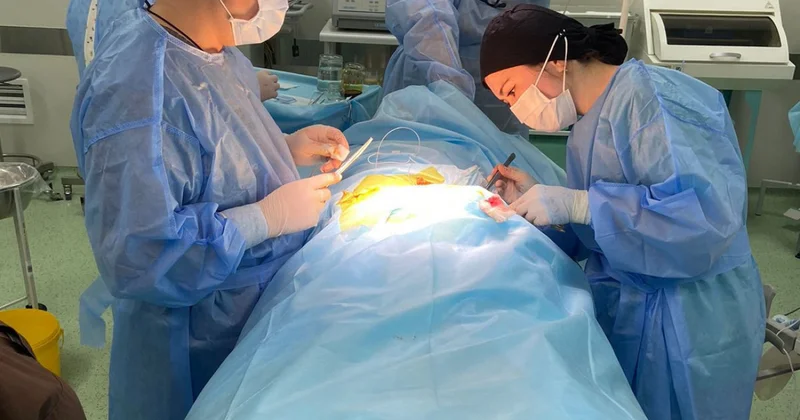 Алматыда омыртқа жұлыны кеселімен туған екі балаға күрделі ота жасалды