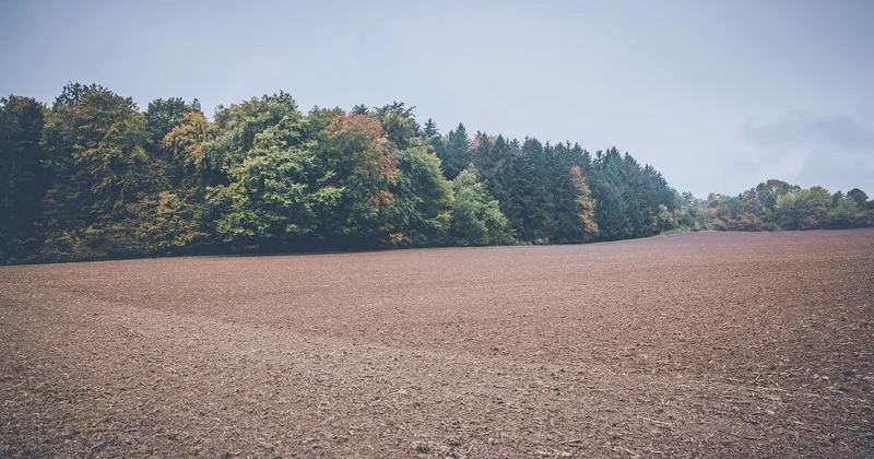Очаг социальной напряженности ликвидировали в Акмолинской области