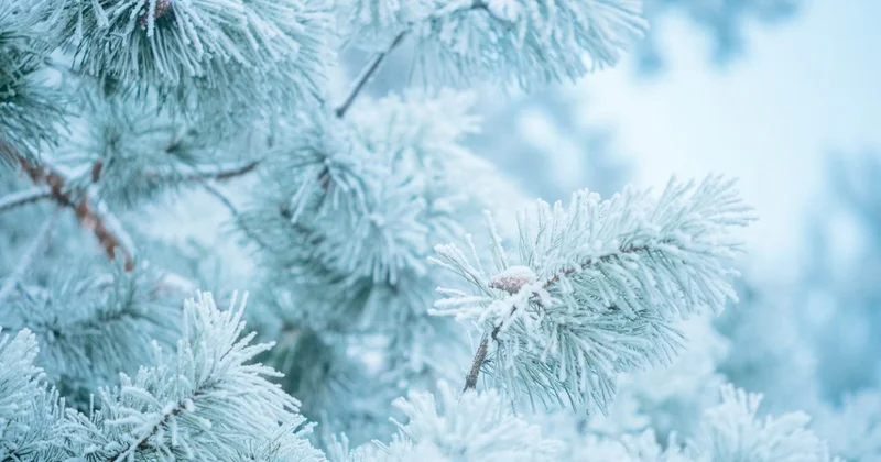 38 градусные морозы надвигаются на Казахстан