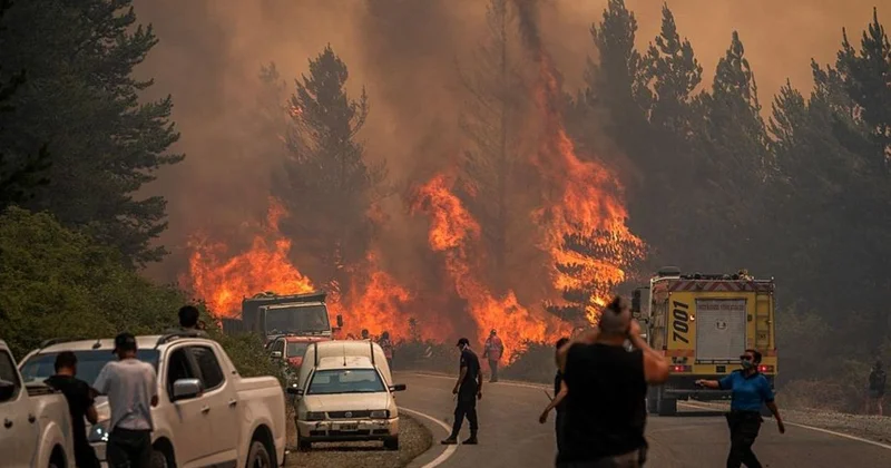 Тысячи туристов эвакуированы в Аргентине из за масштабных лесных пожаров (фото, видео)