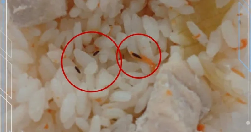 Насекомых нашли в детской еде в больнице Караганды