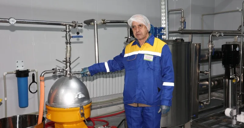 Түйе сүті шетел нарығына шығады