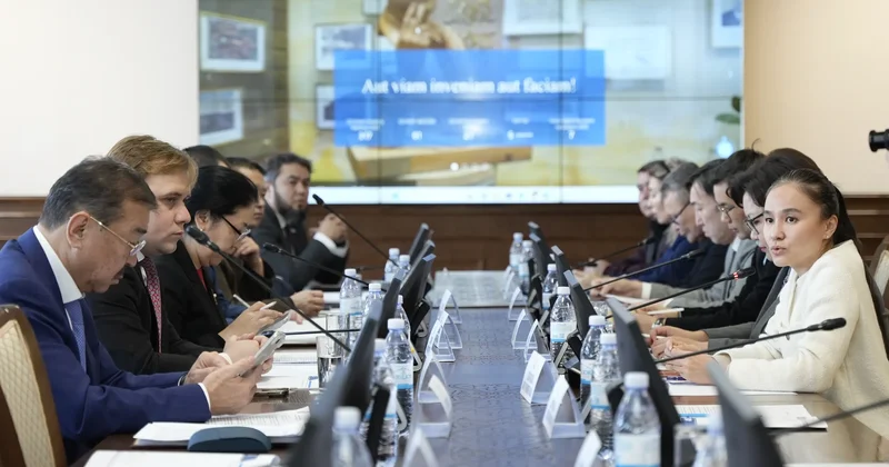 Сарапшылар: Жаңа Конституция жобасы мемлекеттік жүйенің орнықтылығын арттырады