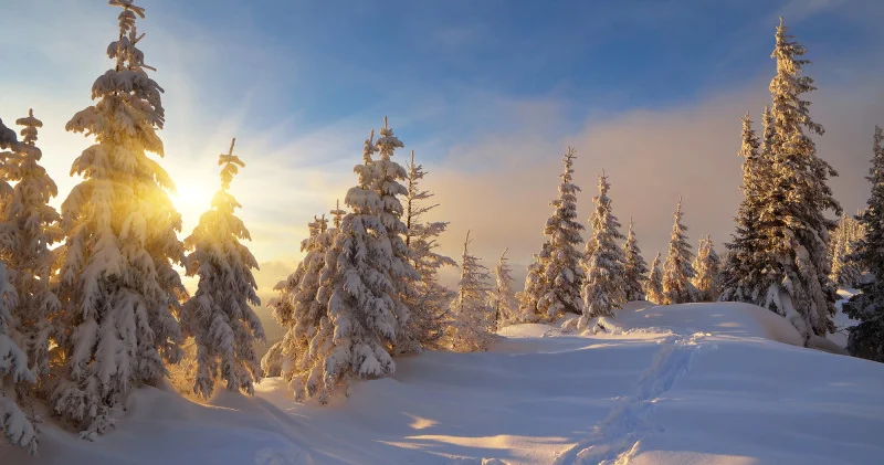 Астанада күн жылиды, ал Алматыда қар аралас жаңбыр жауады