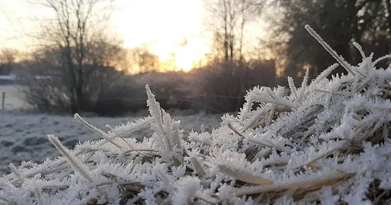 Қазақстанда жұма күні аяз болады