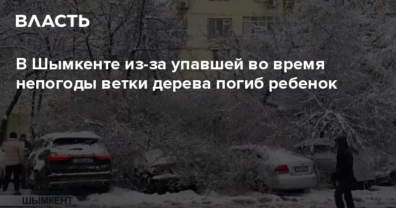 В Шымкенте из за упавшей во время непогоды ветки дерева погиб ребенок Аналитический интернет журнал Власть