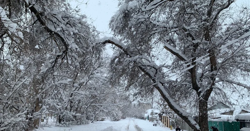 Жамбыл облысының бірнеше ауданында жауын шашын мөлшері қауіпті деңгейден асты