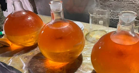 В Алматы пресечена деятельность подпольных нарколабораторий