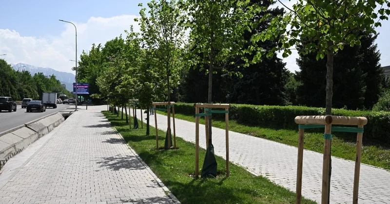 Алматыда 2030 жылы әр тұрғынға 15 шаршы метр жасыл желек болады