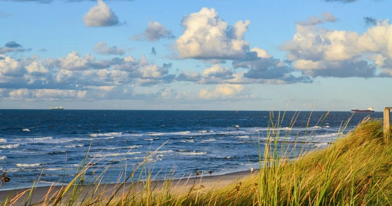 Малый Арал наполняется: объем воды достиг 23 млрд кубометров