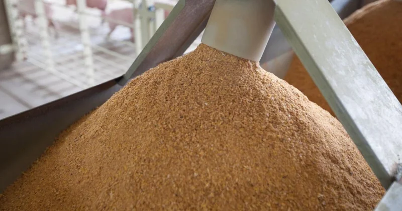 Қытайға жемдік ұн тиелген контейнерлік пойыз жөнелтілді