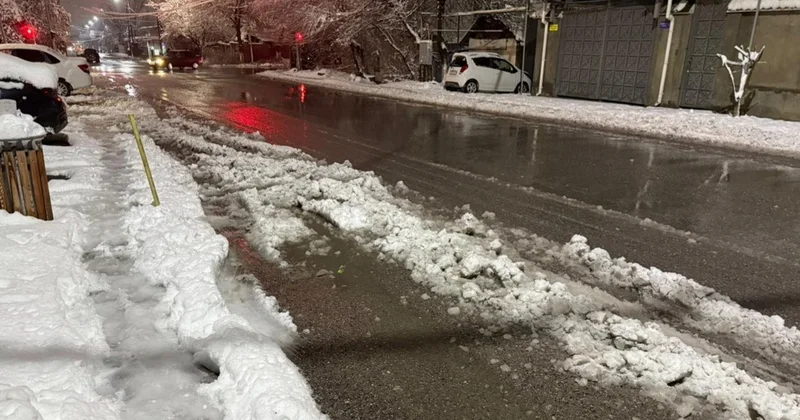 Нөсер соңы қарға ұласты: Шымкентте ағаш құлап, оқушы қаза тапты